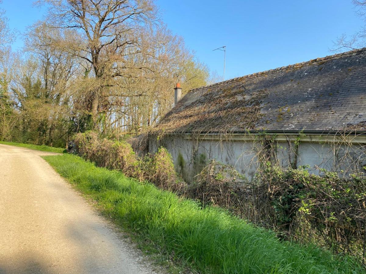 Studio Indre Climatise, La Halte De Cuze, Aux Abords De La Loire A Velo Huismes Exterior photo